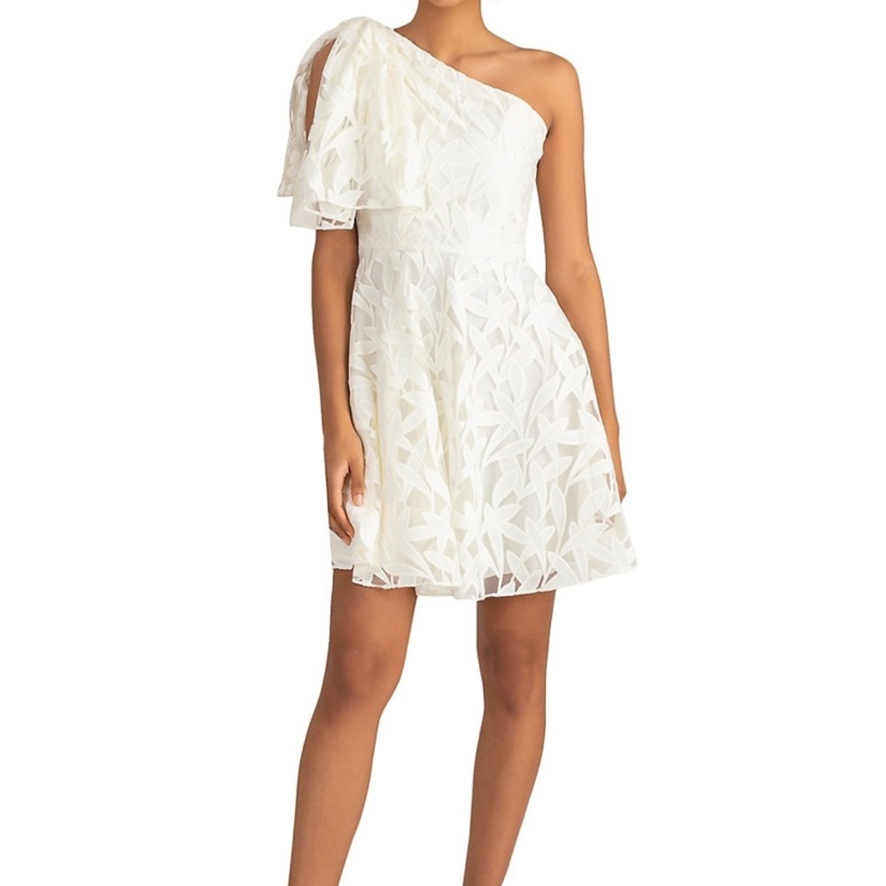 Gorgeous NWT Shoshanna dress, size 6